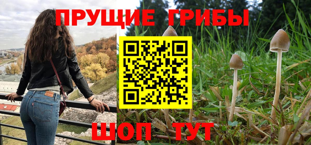 Галлюциногенные грибы MAGIC MUSHROOMS Саяногорск